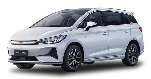 BYD M6